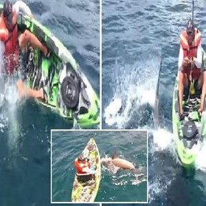 لحظة هجوم سمكة قرش على  صياد في عرض البحر