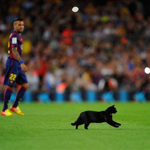 قط أسود يقتحم مباراة برشلونة وإلتشي ويوقفها بعد مُراوغة اللاعبين 