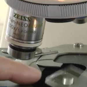 بالفيديو: حوت يفاجئ مغامرين و يرفع قاربهم عن سطح الماء 