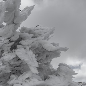 بالصور والفيديو | انجماد وصقيع جبل مبرك في لواء البتراء اليوم الخميس