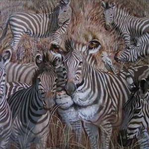  شاهد بالفيديو مجموعة من الخدع البصرية وحاول أن لاتنخدع 