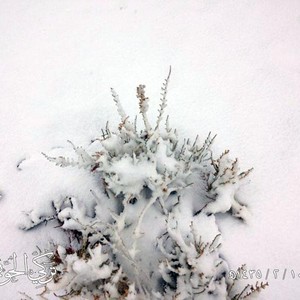 صور إحترافية بغاية الجمال تعكس جانباً من ثلوج تبوك 