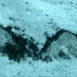 رصد أهرامات غريبة في المحيط الأطلسي (فيديو)