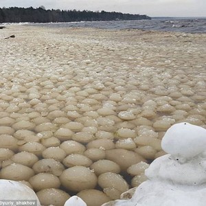 "كرات ثلج" تظهر على شاطئ روسي تحيِّر العلماء