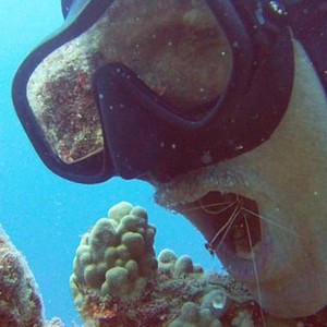 بالفيديو: لم تعجبه الفرشاة .. فقرر الاستعانة بالجمبري لتنظيف أسنانه!