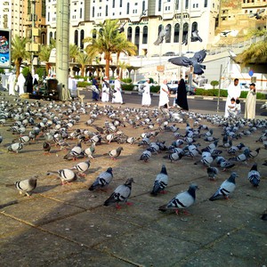 جولة بأهم المعالم السياحية والدينية في مكة المكرمة