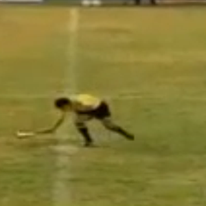 فيديو أرشيفي : أسراب النحل الغاضبة تُهاجم ملعباً لكُرة القدم 