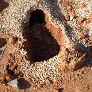 بالصور: انهيار المئات من القبور بمقبرة حي النسيم في الرياض جراء غزارة الامطار   