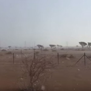 بالفيديو: أمطار غزيرة على منطقة سهيلة التابعة لإمارة الشارقة