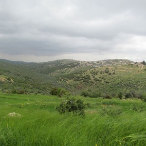 النشرة الجوية : تأثير عاصفة مسرة يشتد على الأردن