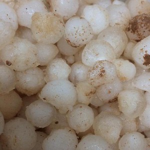 عاصفة بردية قوية جنوب شقراء 