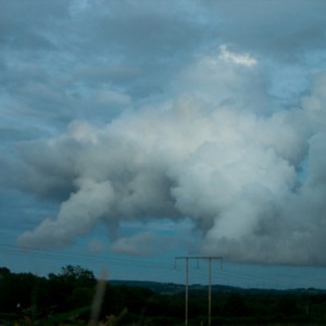بالصور: الغيوم بأشكال تُشبه الكائنات الحية  