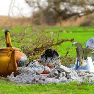 صحاري المملكة ترتدي ثوب الربيع .. شاهد الصور 