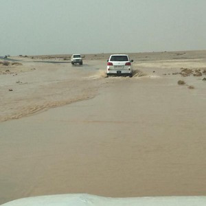 بالصور: أمطار الخير تتساقط على البصير والجميليه