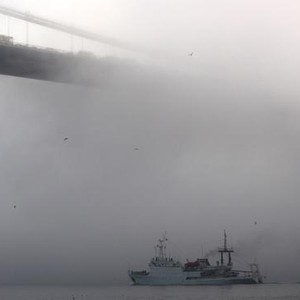 ضباب عارم يُغلق مضيق البسفور (فيديو)