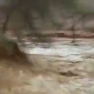 سيول هادرة تدمر طريقاً في قرية طاشا بينبع