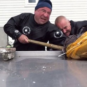 شاهد معنا: إنقاذ روسي علقت يده بفم سمكة!