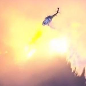 بالفيديو: حرائق هائلة تجتاح ولاية كاليفورنيا الأمريكية والسلطات تُعلن الطوارئ 