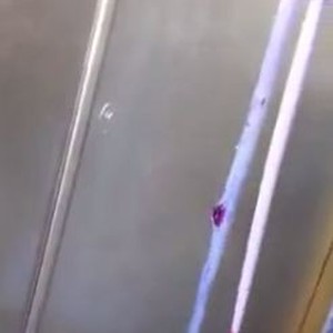 مصري يتمكن من قتل ثعبان عند باب الحرم المكي الشريف 