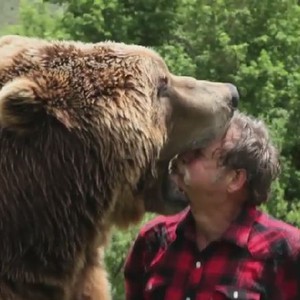 أخطر لقطة يُمكن أن تراها في حياتك بين "دب وصديقه الانسان" مشاهد تحبس الانفاس 