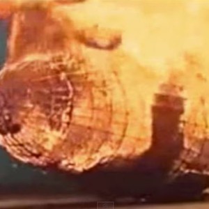 شاهد كيف تحول المنطاد زبلن إلى كتلة من اللهب في غضون 20 ثانية فقط 