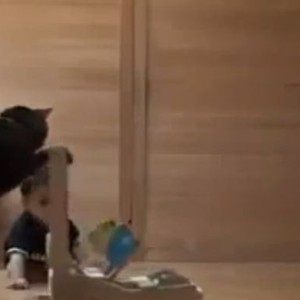 فيديو طريف لقط يُعلم طفلاً طريقة المشي 