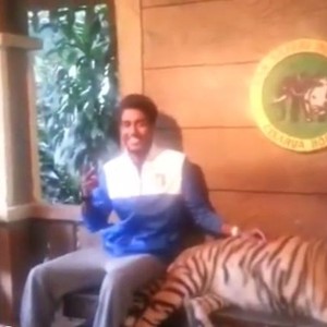 بالفيديو: سعودي يُصر على إلتقاط صورة تذكارية مع نمر ضخم..لكن شاهد ماذا حدث 