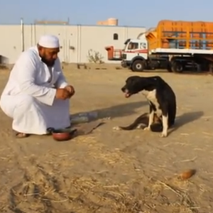 أقوى مشهد إنساني مؤثر تم رصده خلال العام 2015 بالسعودية 