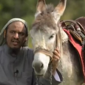 شاهد لحظة سقوط الشيخ الجبيلان من على الحمار ليستقر في بركة مياه 