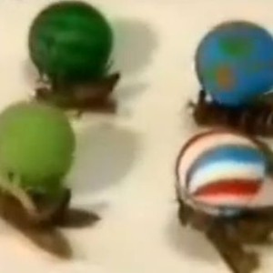 اغرب فيديو يمكن أن تراه .. ياباني يقوم بترويض الذباب 