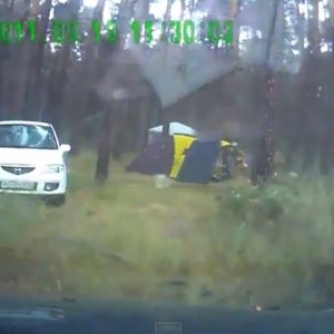 الرياح الشديدة تُسقط شجرة على طفلين توأمين وتقتلهما بلحظات 