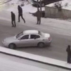 مواطن يوثق عشرات الانزلاقات و الحوادث على احدى الطرق بصويلح