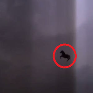 "حصان جدة الطائر" وسط البروق ليس سوى بالون