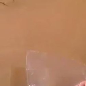  بالفيديو : مستنقع مائي يتحول إلى بحيرة جليدية في السعودية بسبب البرد الشديد