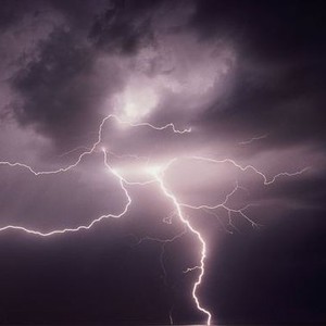 بالفيديو: أثر الرياح القوية على سرعة إنتشار النيران وسط الغابة   