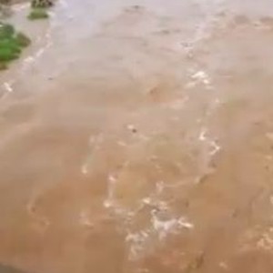 بالفيديو: شاهد قوة جريان السيول بجازان ظهر السبت 