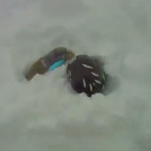 متزلج يعثر على بالصدفة على رجل غطته الثلوج بانهيار ثلجي 