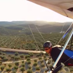 مغامر يُحلق فوق أشجار الزيتون ويهبط ليصدم احداها   