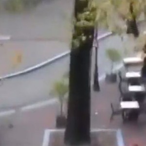  بالفيديو: شجرة كادت ان تودي بحياة مواطن هولندي بسبب الرياح 