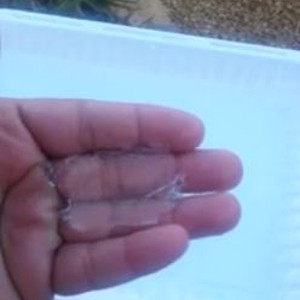 بالفيديو: شاهد كيف تجمدت المياه في بعض محافظات الرياض صباح الثلاثاء 