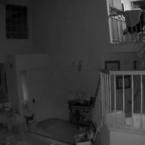 شاهد ردة فعل هذه العائلة لحظة وقوع زلزال كاليفورنيا