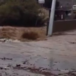 بالفيديو: السيول تشق طريقها عبر طرق ومنازل الباحة 