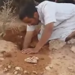 سعودي أراد اصطياد ضب من جحره فخرج له ثعبان