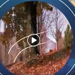 انخفاض آخر على درجات الحرارة الخميس... المزيد عبر النشرة الجوية اليومية 