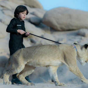 بالفيديو : أسد يُهاجم نجل الشاعر زياد بن نحيت أثناء تصوير كليب وطني