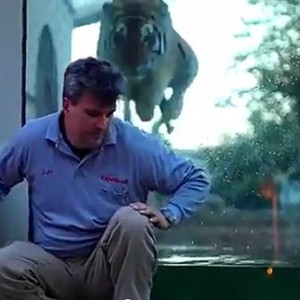 نمر يطير بالهواء لينقض على خصمه ولكن .. 