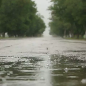 بالفيديو: شاب يقفز فوق "لمبورجيني" تسير بسرعة 130 كم/س