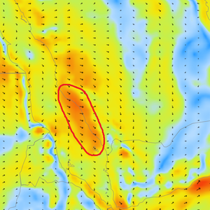 فيديو: نجاة السديس من محاولات اعتداء في الحرم