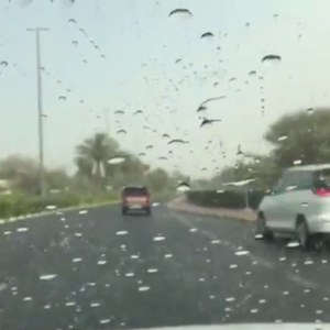 مشهد قصير لتساقط الامطار على  مدينة العين