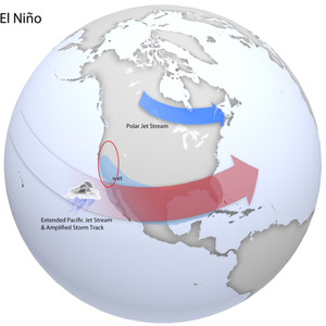 بالفيديو .. شخير قنفذة يجذب ملايين المشاهدين 